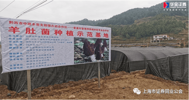创新公益模式<strong></p>
<p>新时代证券</strong>，华金证券引领金融帮扶新时代