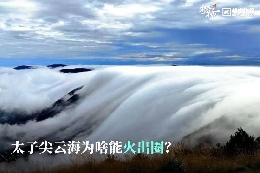“来都来了<strong></p>
<p>证券交易时间</strong>，那就查一个吧”，浙江男子意外查出癌