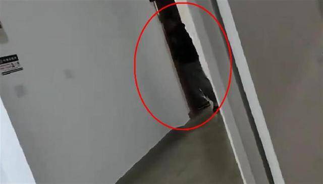 上海一高校男生晚上撞开女生寝室门<strong></p>
<p>西南证券股吧</strong>，校方：醉酒后走错了