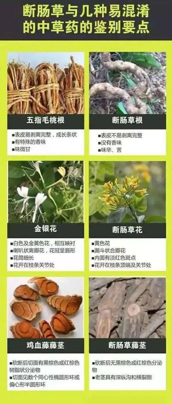 广东一老人买药材煲汤中毒身亡 当地：店铺误售断肠草<strong></p>
<p>广发证券官网</strong>，老板被拘留