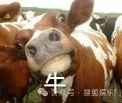 调侃“接受不了生女儿”被骂好几天<strong></p>
<p>BTC交易APP下载</strong>，他自曝差点因此家庭破裂......