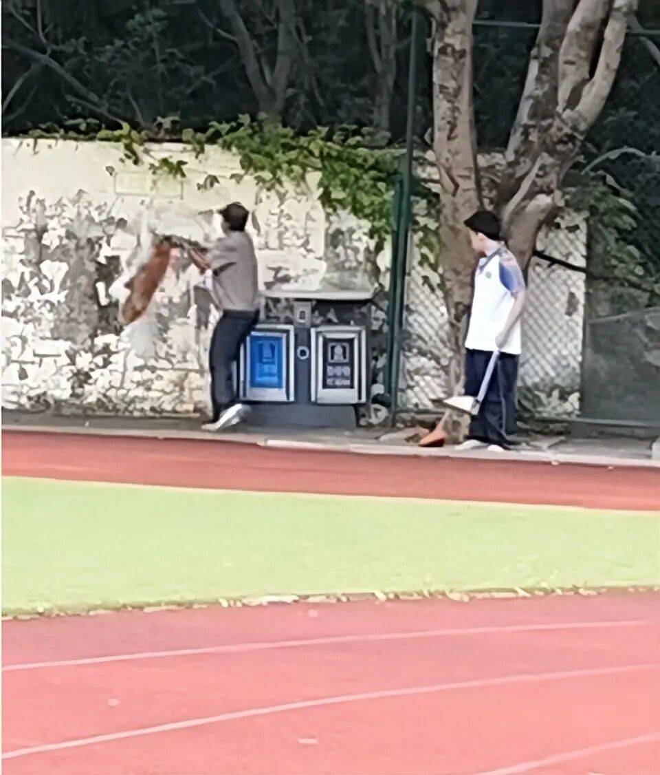福建一公办职中保安被指当学生面<strong></p>
<p>比特币交易所交易平台</strong>，从3米高墙扔出流浪狗！福清教育局：将核实情况