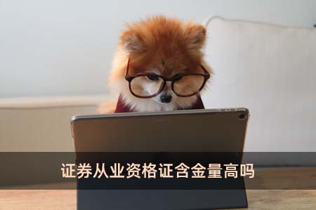 证券需要什么证(证券需要什么证书才能做)