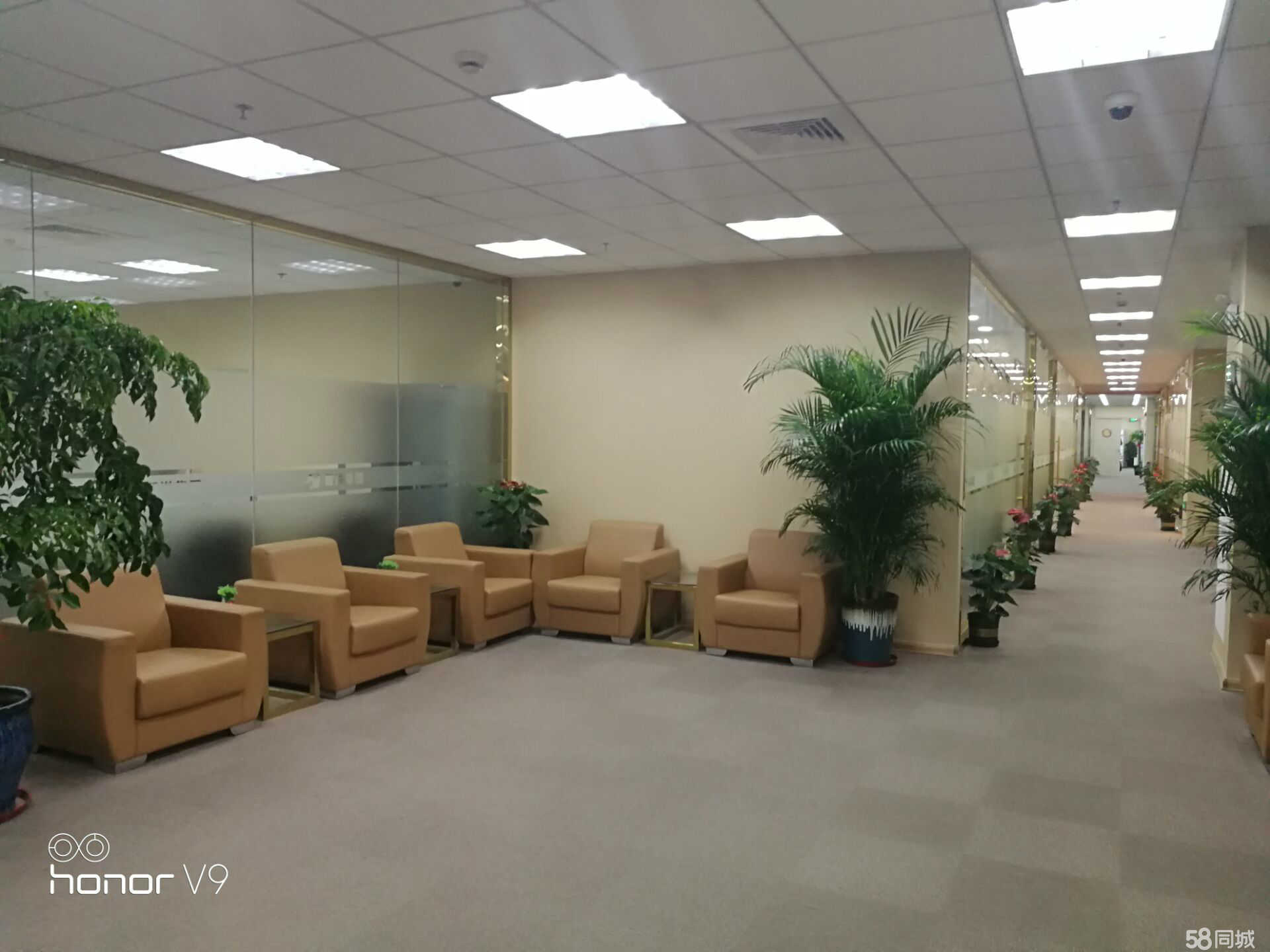 上海之星证券(上海证券之星综合研究有限公司)