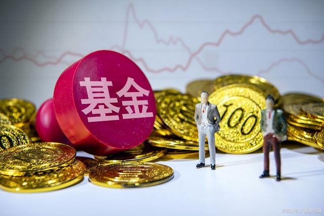 公募证券投资基金(公募证券投资基金包括)