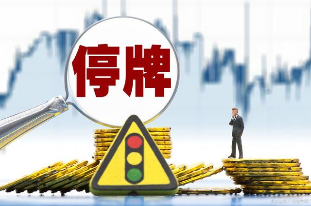 证券停牌(证券停牌是什么意思)