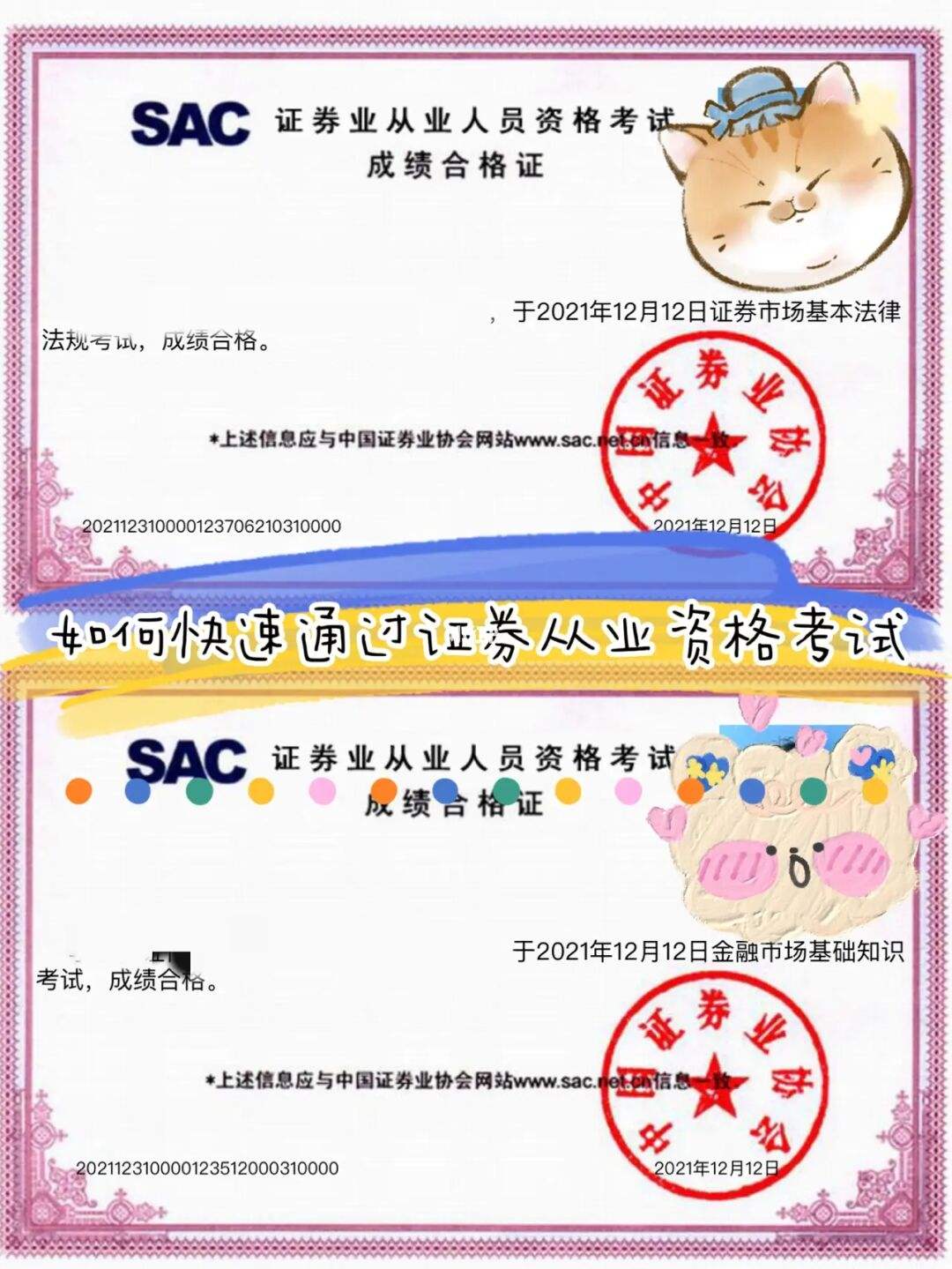 证券需要什么证(证券需要考的所有资格证)
