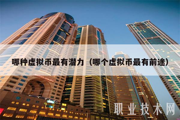 哪种虚拟币好(那种虚拟币前景好)