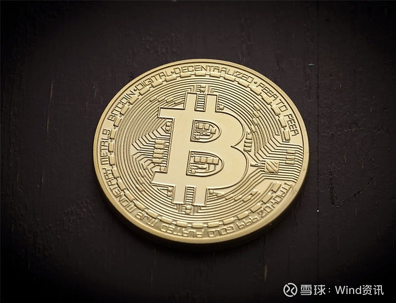 关于猴币虚拟货币的信息