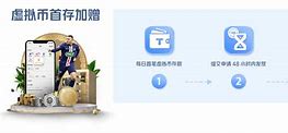 虚拟币未来发展(虚拟币有没有未来)