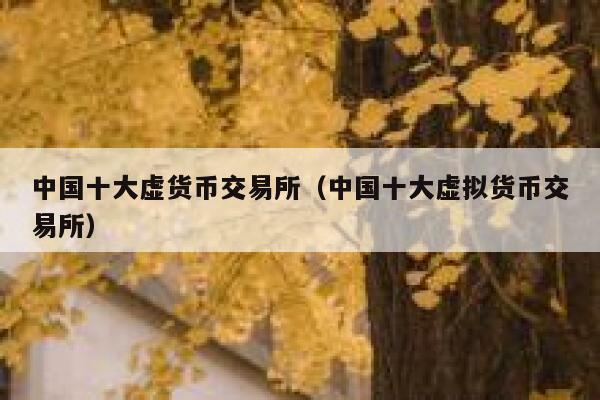 中国有虚拟币(中国有虚拟币交易吗)
