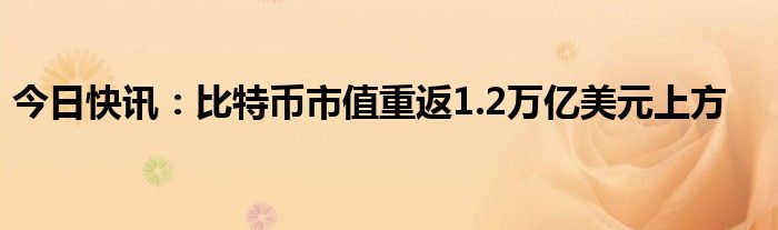 虚拟币市值(虚拟币市值排名实时)